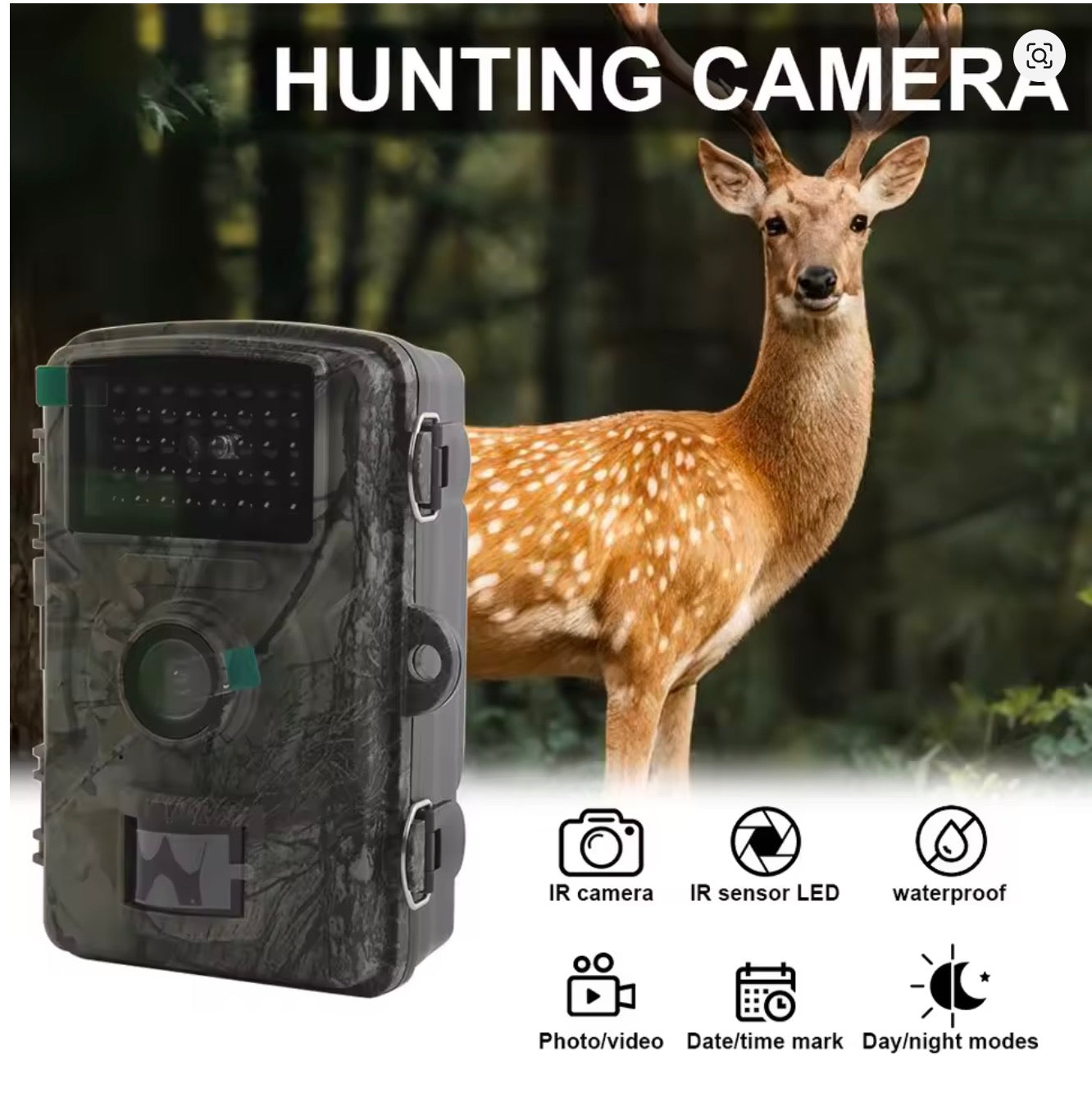 Night Vision Trail Cam